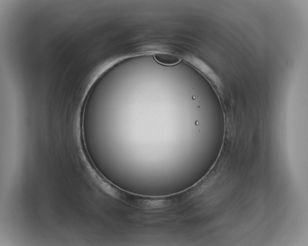 X0000113031431200909031243