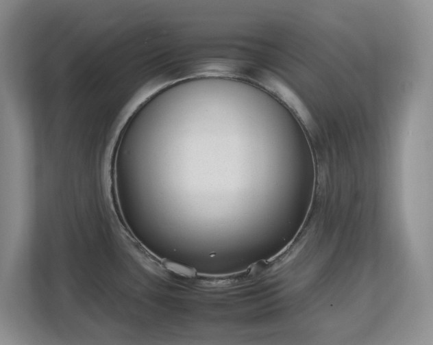 X0000113031435200909031243