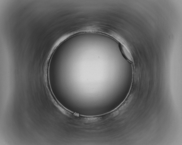 X0000113031437200909031243