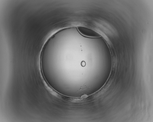 X0000113031439200909031243