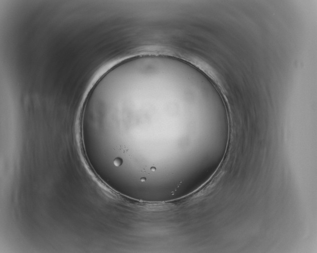 X0000113031440200909031243