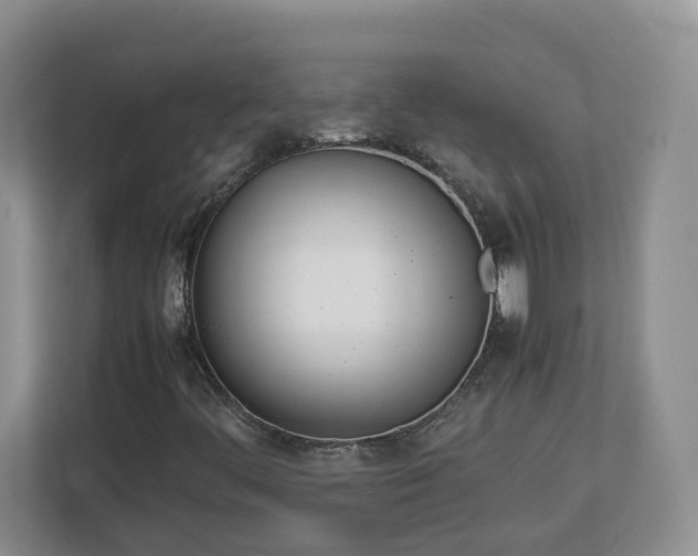 X0000113031444200909031242