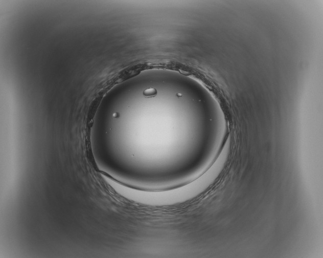 X0000113031445200909031242