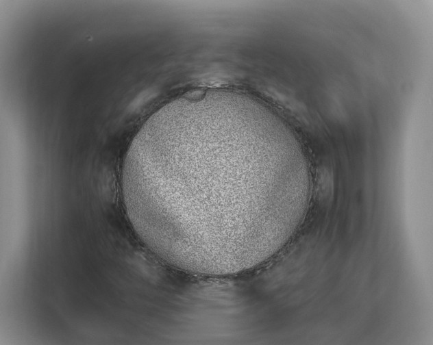 X0000113031446200909031242