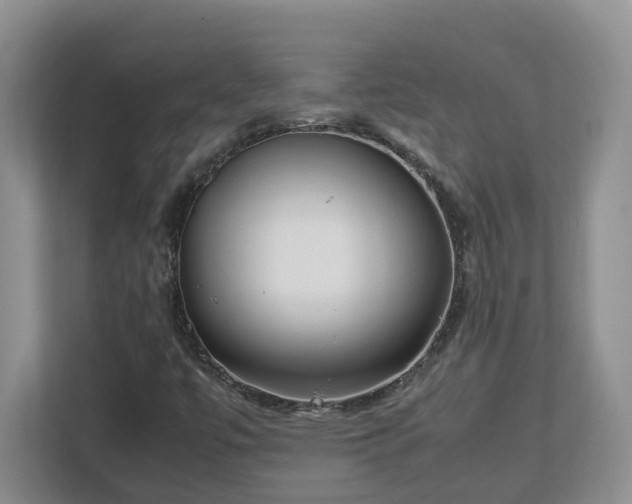 X0000113031447200909031242