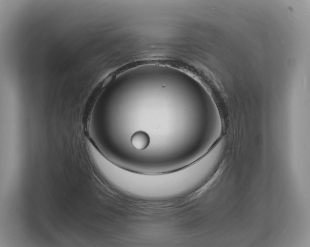 X0000113031449200909031242