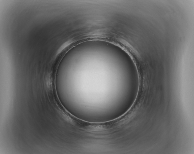 X0000113031450200909031242