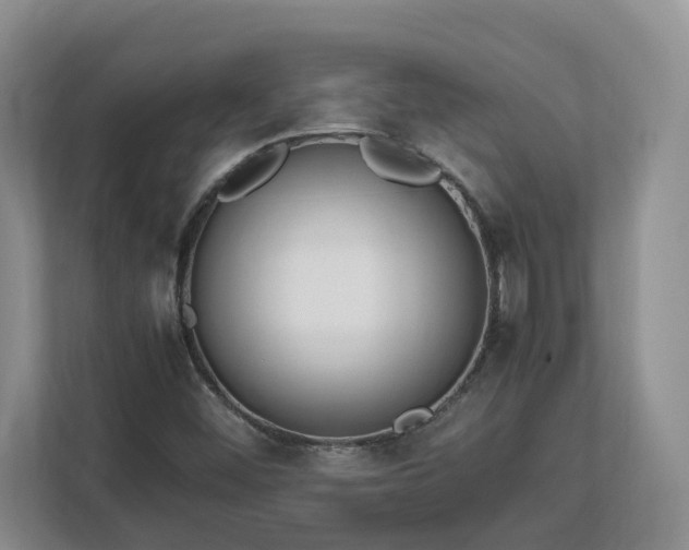 X0000113031452200909031242