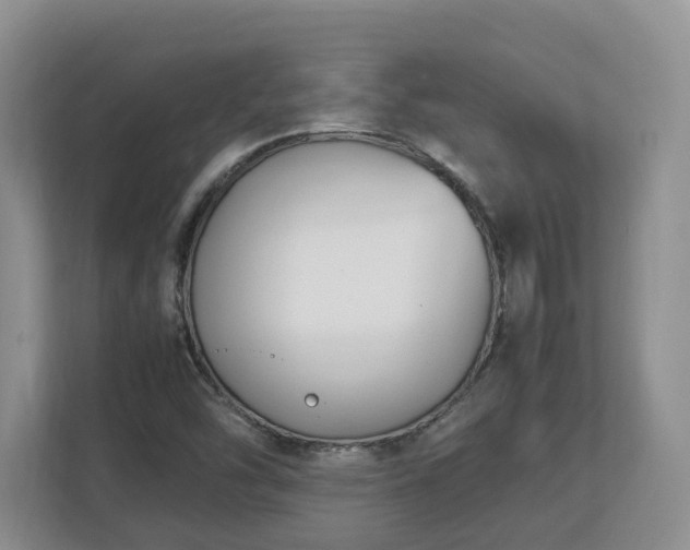 X0000113031454200909031242