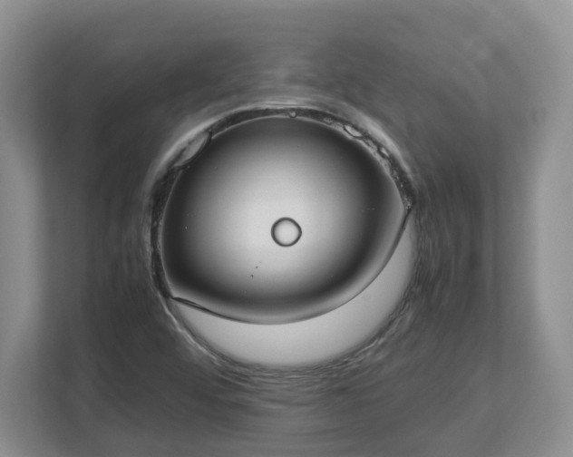 X0000113031456200909031242