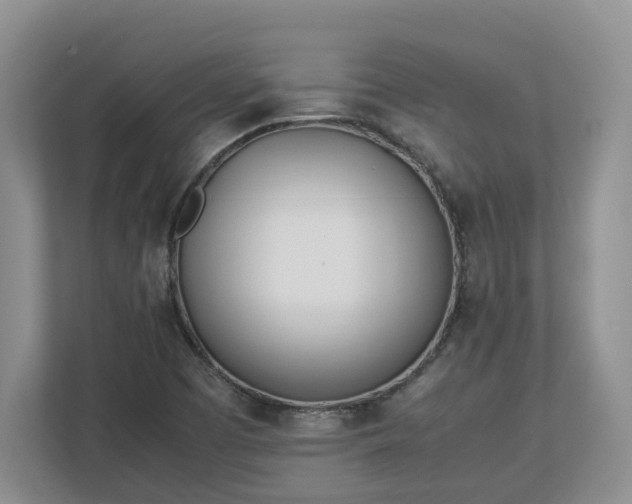 X0000113031457200909031242