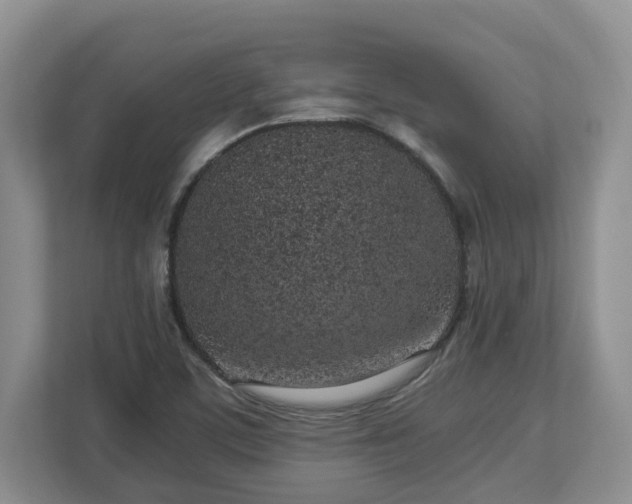 X0000113031459200909031242