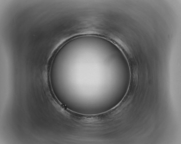 X0000113031460200909031242