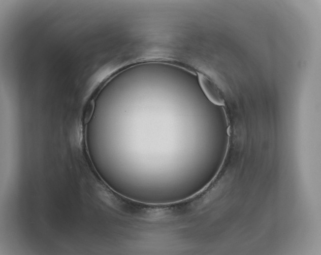 X0000113031461200909031242