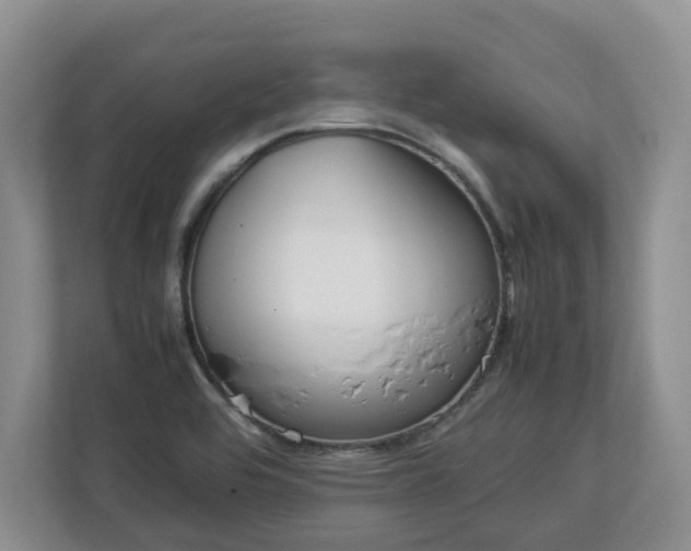 X0000113031464200909031242