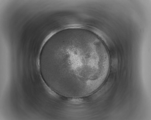 X0000113031466200909031242