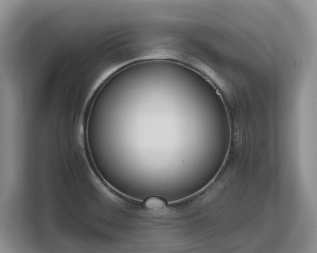 X0000113031468200909031242