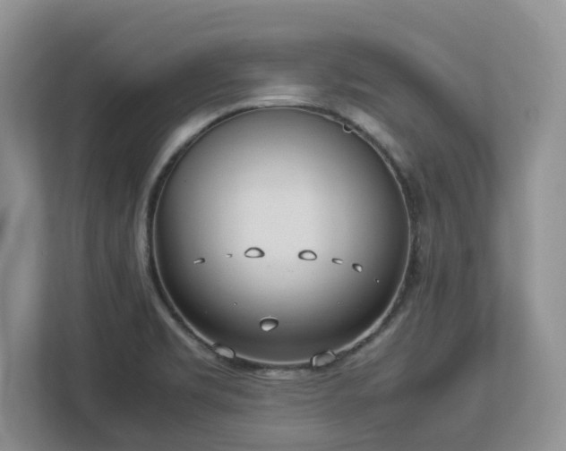 X0000113031469200909031242