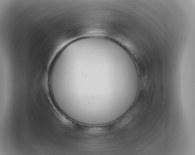 X0000113031470200909031242