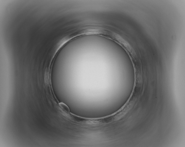 X0000113031473200909031242