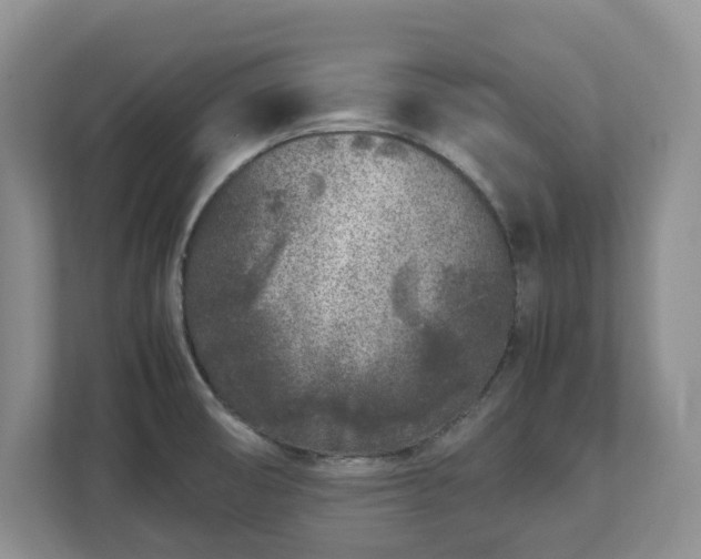 X0000113031474200909031242