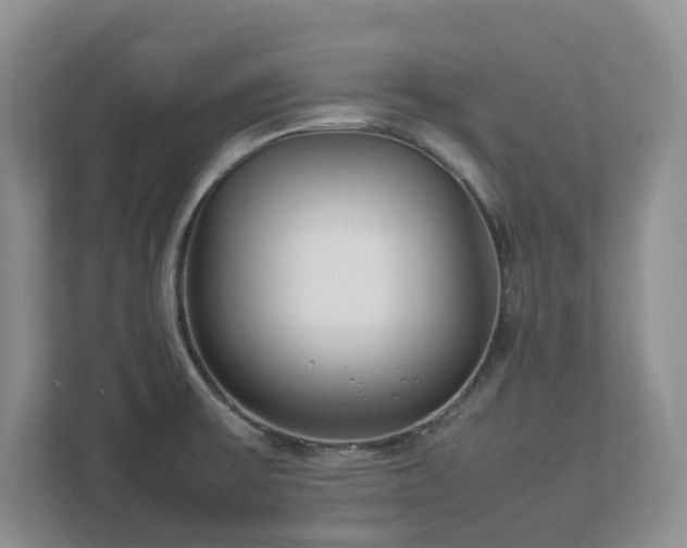 X0000113031475200909031242