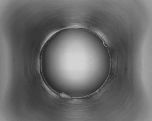 X0000113031476200909031242