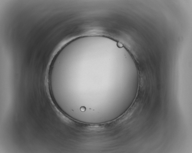 X0000113031478200909031242