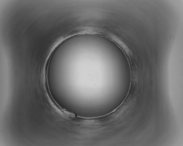 X0000113031479200909031242