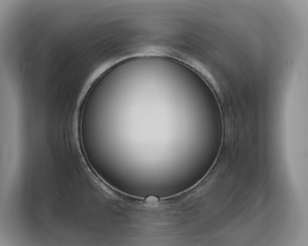 X0000113031480200909031242