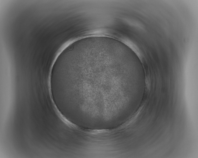 X0000113031482200909031242