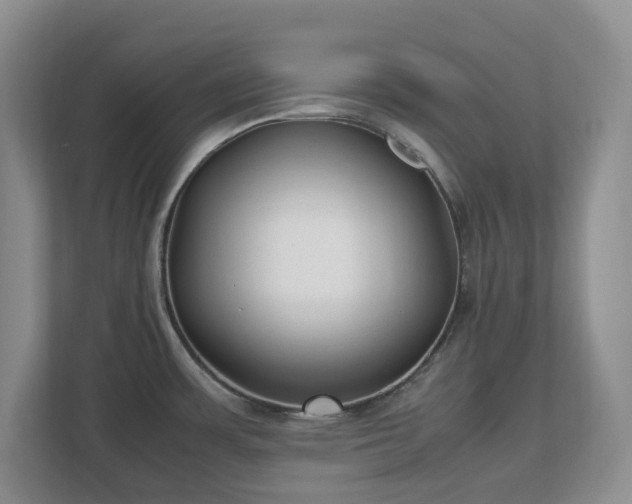 X0000113031483200909031241