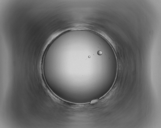 X0000113031485200909031241