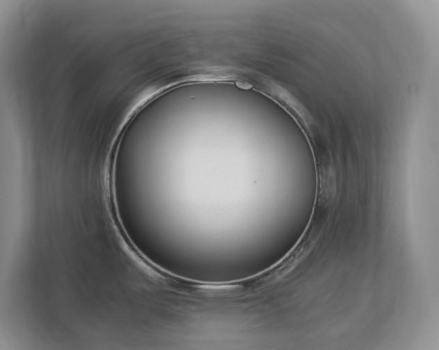 X0000113031487200909031241