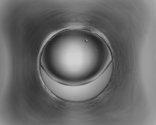 X0000113031488200909031241