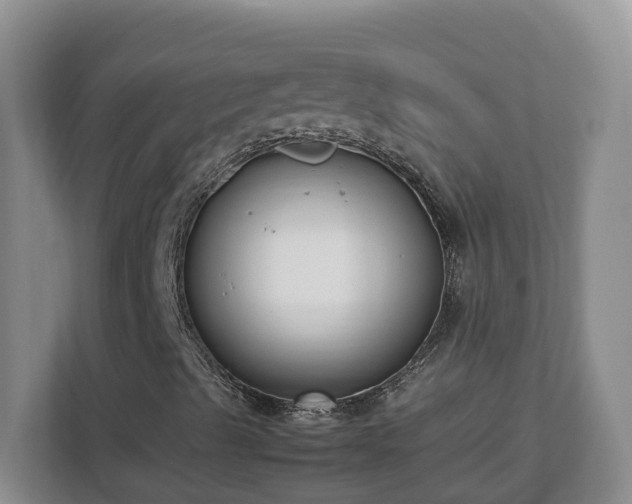 X0000113031489200909031241