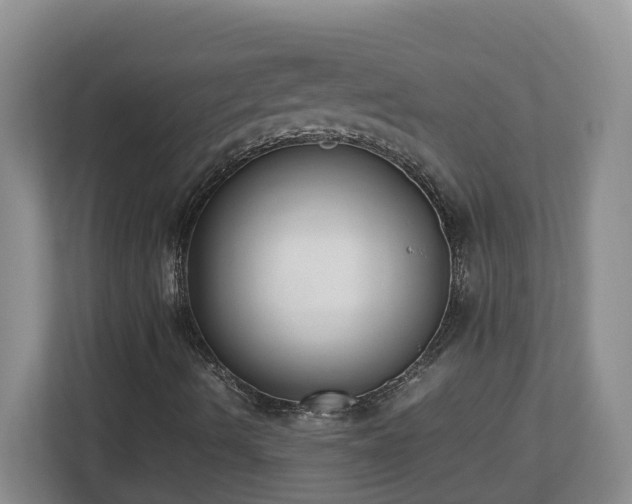 X0000113031490200909031241