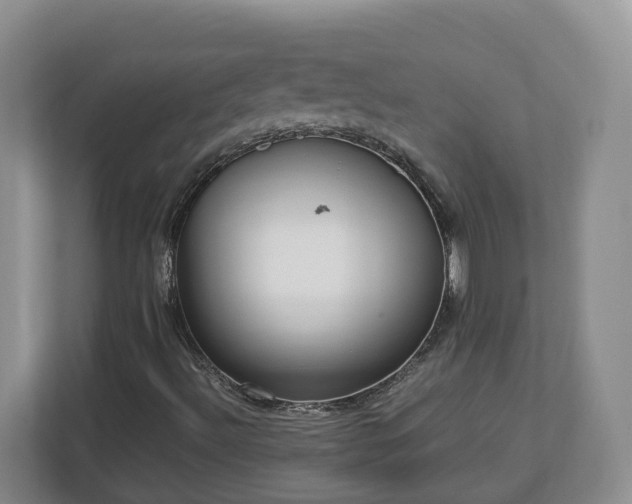 X0000113031492200909031241