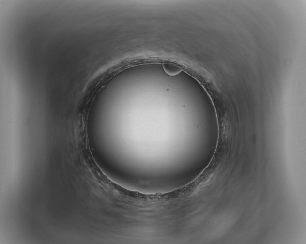 X0000113031494200909031241