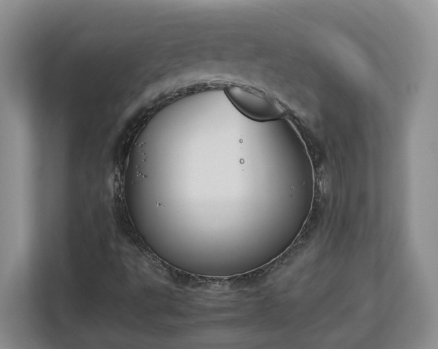 X0000113031495200909031241