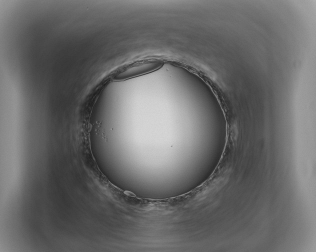 X0000113031496200909031241