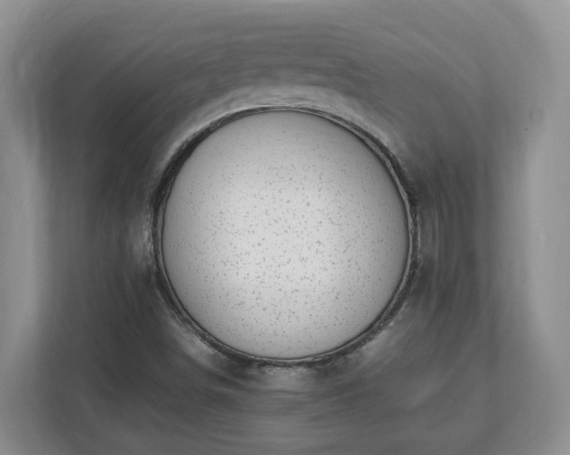 X0000113031498200909031241