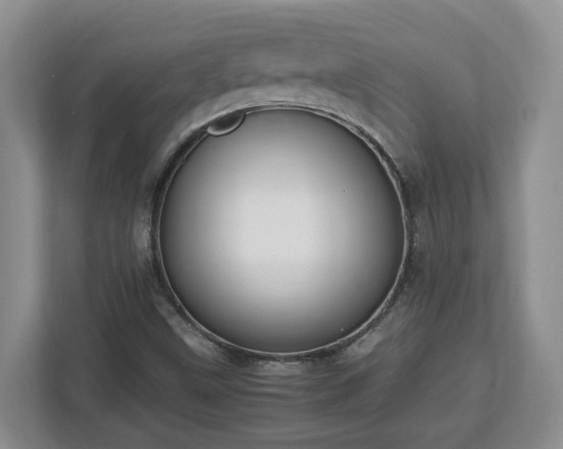 X0000113031499200909031241