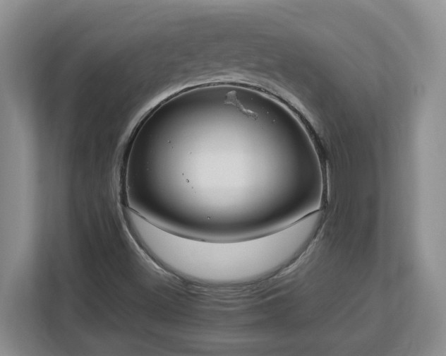 X0000113031500200909031241