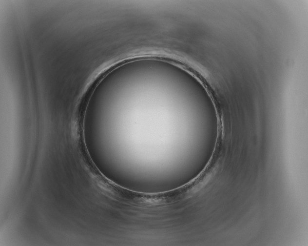 X0000113031501200909031241