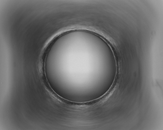 X0000113031502200909031241