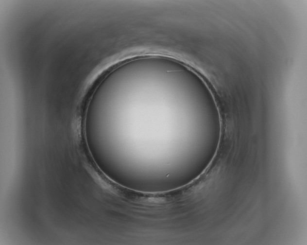 X0000113031503200909031241