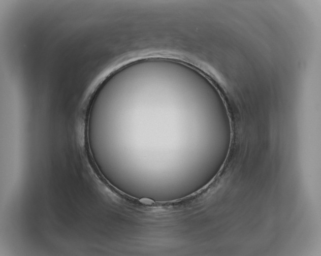 X0000113031504200909031241