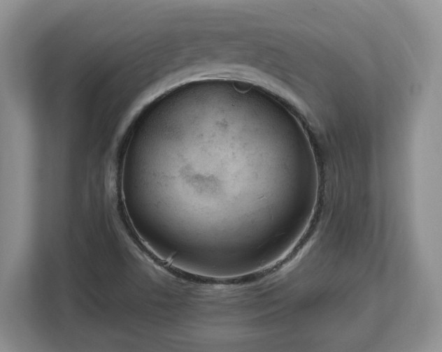 X0000113031506200909031241