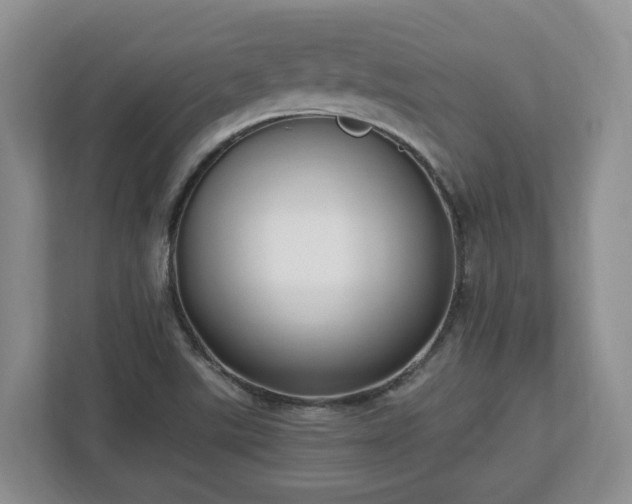 X0000113031507200909031241